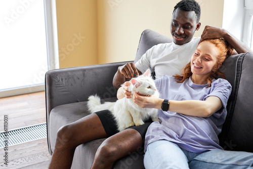 redhead caucasian lady and black man couple brushing cute white cat at home, sitting on sofa, young female and male caring of fur. pretty beautiful lady and handsome guy are happy, smiling