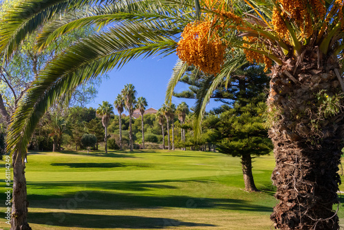 Vega Baja del Segura - Orihuela Costa - Campos de golf