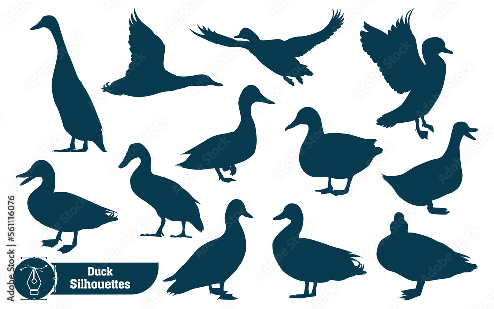 Collection of Animal duck silhouette in different poses Collection of Animal duck silhouette in different poses