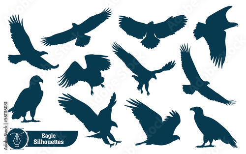 Collection of Animal bird Eagle silhouette in different poses