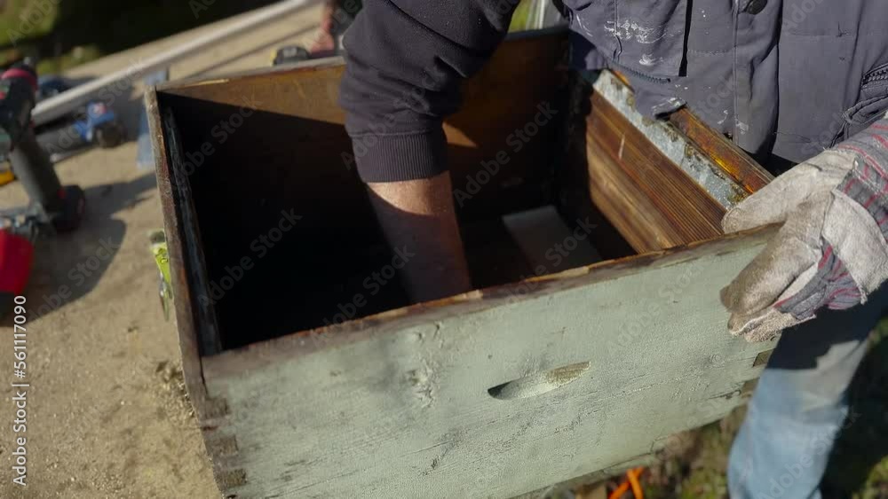 Beekeeper Repairing Old Beehive Beekeeper Repairing Old Beehive