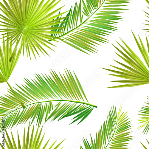 Green palm leaves. Vector illustration. tropical plants seamless pattern. Contemporary vector decoration art. Tropic chaos illustration.