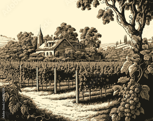 From Vineyard to Table - The Craft of Engraving Vineyards to Enhance Your Life Experience.