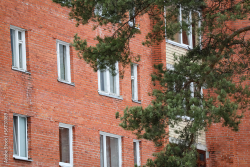 Red brick residential building with white plastic windows and balconies with big pine branch crossing the view