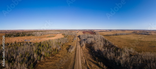 Aerial of a long gravel farm road surrounded by leafless trees and dry looking spring fields. The sky is clear  and blue become light colored on the horizon. 