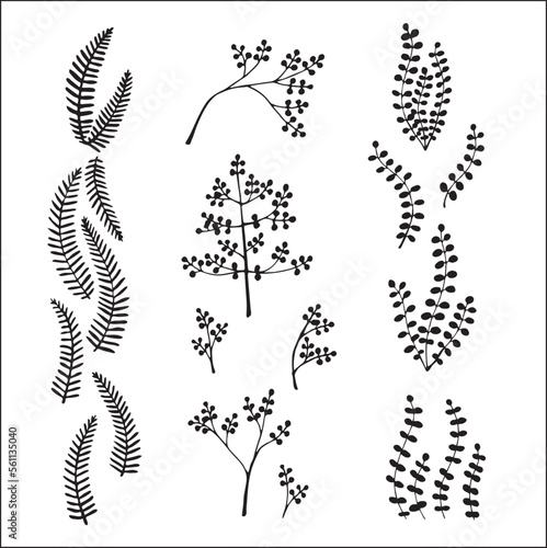 Set of vector vegetal decorative elements in black and white, contours and different forms of leaves and branches, silhouettes of leaves.
