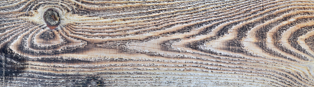 Texture of the burnt wood of a light tone. Can be used as a natural background with copy space. Texture of the burnt wood of a light tone. Can be used as a natural background with copy space.