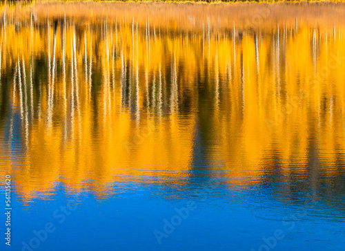 Aspens Reflected in Rowdy Lake, Colorado