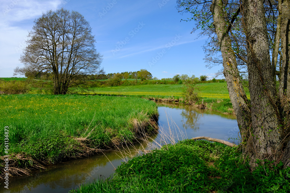 Die Baunachaue bei Pfarrweisach, Naturpark Haßberge, Landkreis Haßberge, Unterfranken, Franken, Bayern, Deutschland Die Baunachaue bei Pfarrweisach, Naturpark Haßberge, Landkreis Haßberge, Unterfranken, Franken, Bayern, Deutschland