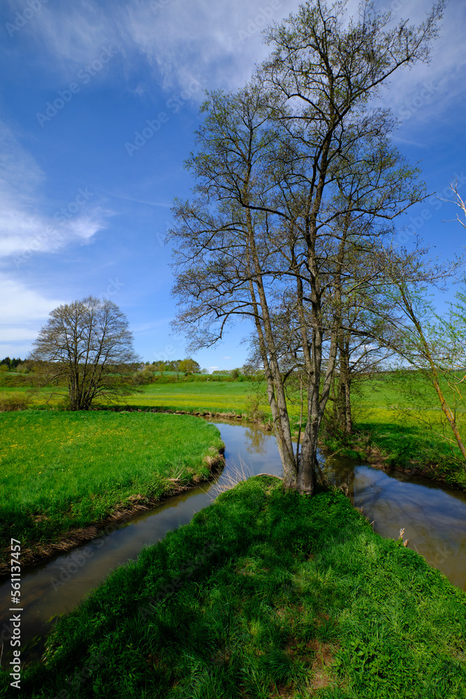 Die Baunachaue bei Pfarrweisach, Naturpark Haßberge, Landkreis Haßberge, Unterfranken, Franken, Bayern, Deutschland Die Baunachaue bei Pfarrweisach, Naturpark Haßberge, Landkreis Haßberge, Unterfranken, Franken, Bayern, Deutschland