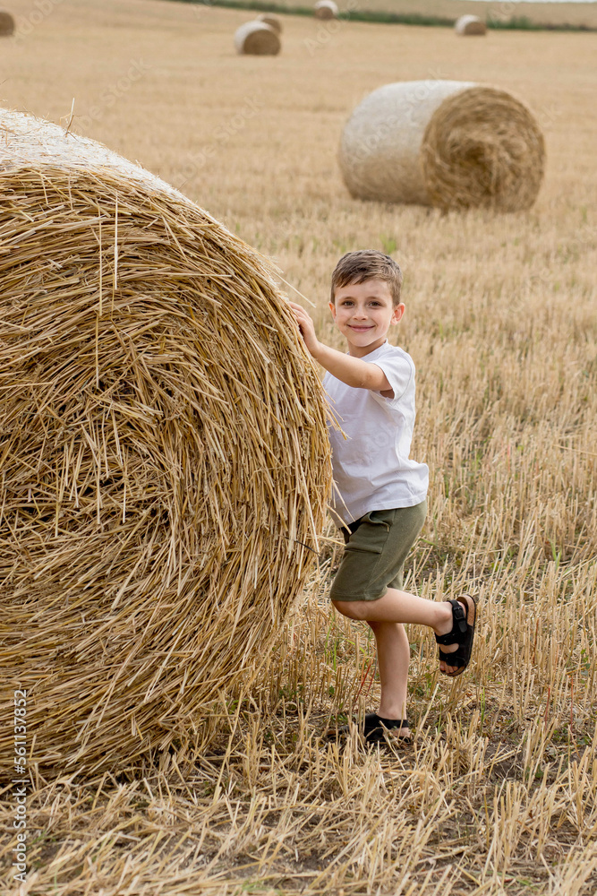 A cute little boy in a white t-shirt and khaki shorts is standing near round bales of hay. Photo session in the field A cute little boy in a white t-shirt and khaki shorts is standing near round bales of hay. Photo session in the field