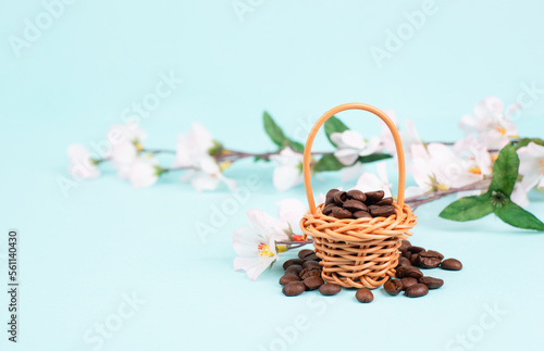 Wicker basket with roasted coffee beans  cherry blossom  greeting card for easter holiday  spring season 