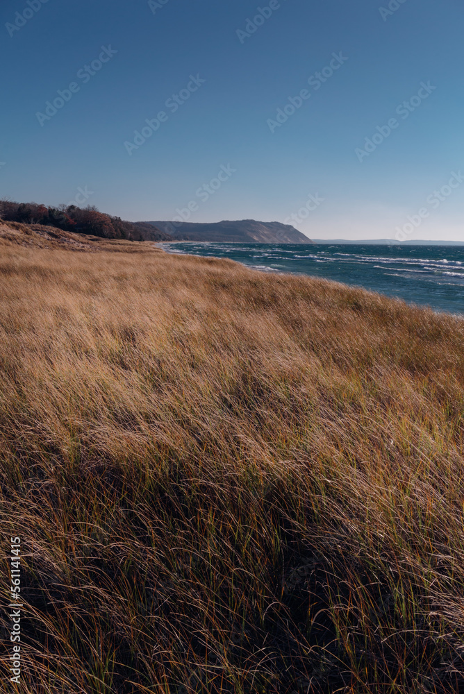 Fototapeta premium Wavy grass on lake shore