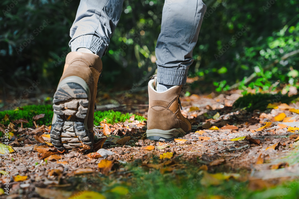 Unrecognizable male traveller or hiker walking in the forest and climbing on hill. Closeup hiking boots from the back side. Unrecognizable male traveller or hiker walking in the forest and climbing on hill. Closeup hiking boots from the back side.