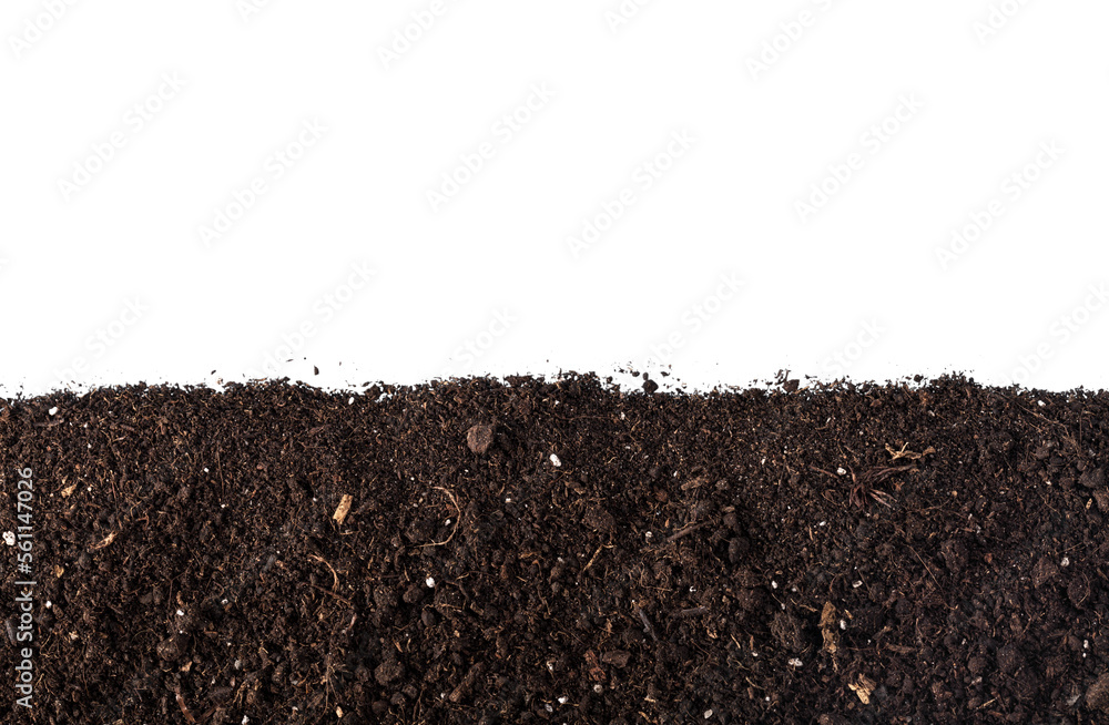 Dark dirt border soil for plant - obrazy, fototapety, plakaty 
