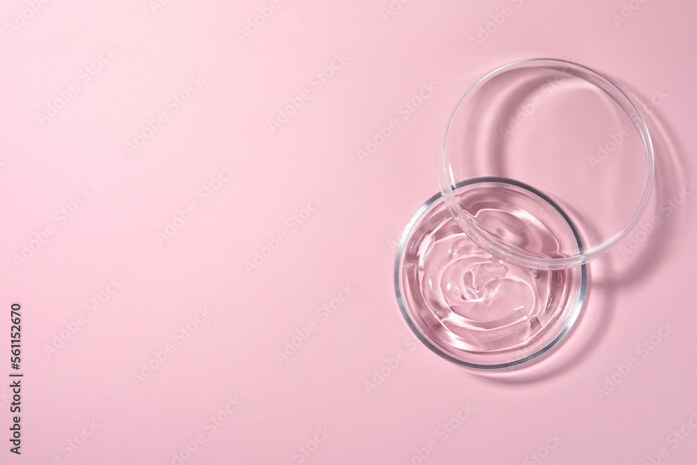 Petri dish with liquid and lid on pale pink background, flat lay. Space for text Petri dish with liquid and lid on pale pink background, flat lay. Space for text