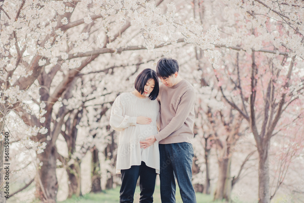 桜と赤ちゃんを待つ夫婦