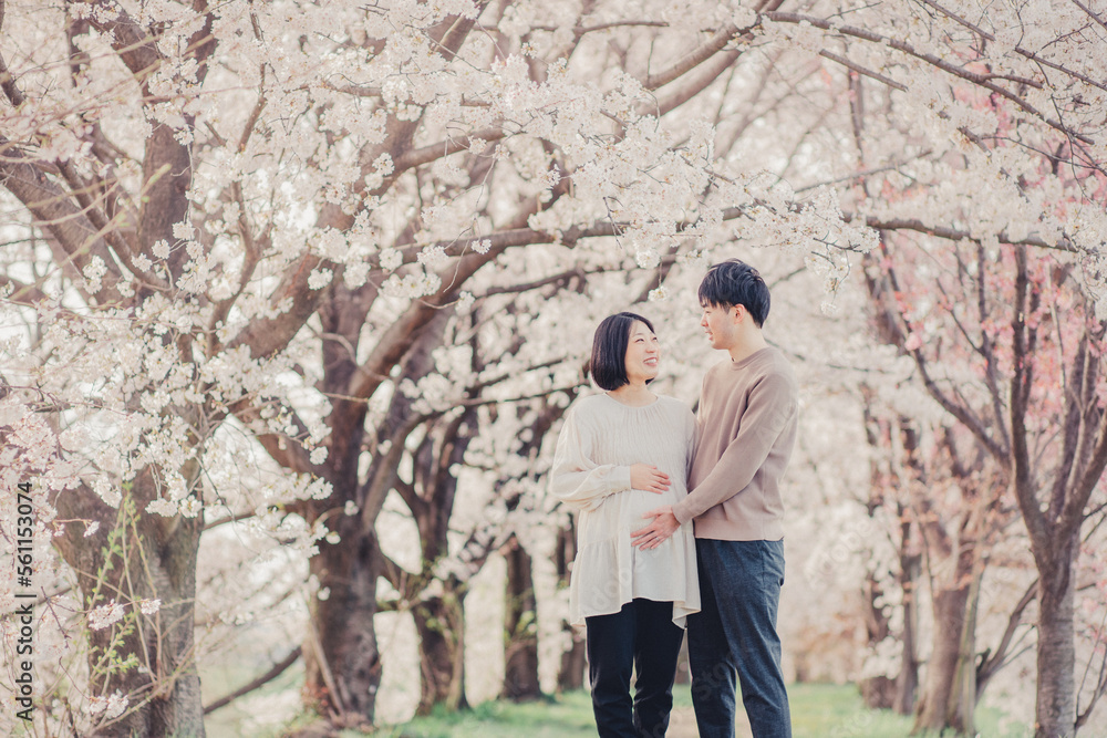 桜と赤ちゃんを待つ夫婦