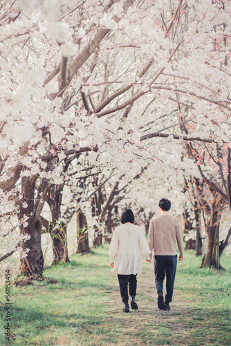 桜の中を歩く夫婦