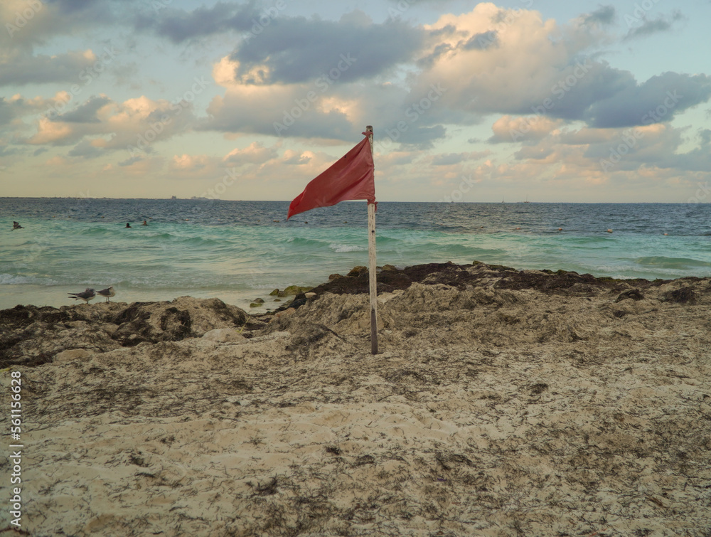 umbrella on the beach