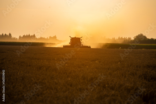 grain harvester working in the field, wheat harvest, harvester at harvest time, wheat harvester at sunset © Follow the Sun