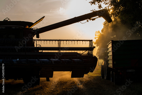 grain harvester working in the field  wheat harvest  harvester at harvest time  wheat harvester at sunset