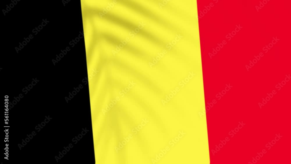 Belgium flag videos. Slow Motion videos. Flag Blowing Close Up with tree shadow Belgium flag videos. Slow Motion videos. Flag Blowing Close Up with tree shadow