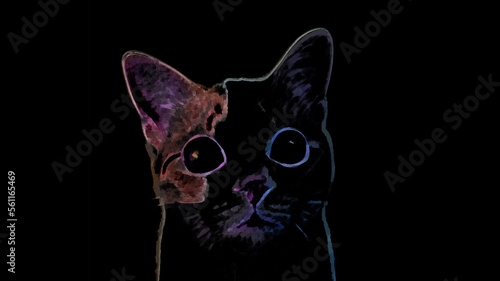  Abstract Illustration Cat's look on a black background © Leonid