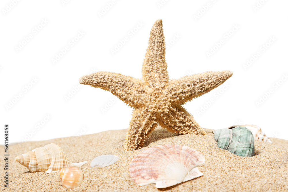 One Starfish on beach sand isolated on white background One Starfish on beach sand isolated on white background