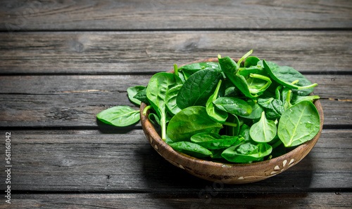Spinach leaves in bowl.