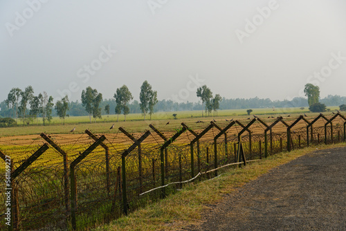 birds sitting on international border fence between india and bangladesh country.