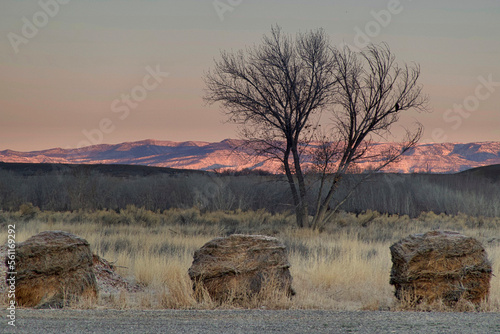 Fototapeta Naklejka Na Ścianę i Meble -  Three Haystacks at Dawn