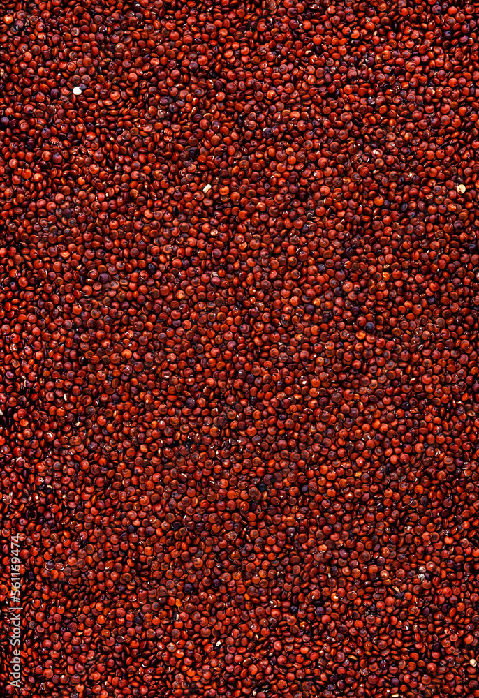 Raw red quinoa groats, food background texture, top view Raw red quinoa groats, food background texture, top view