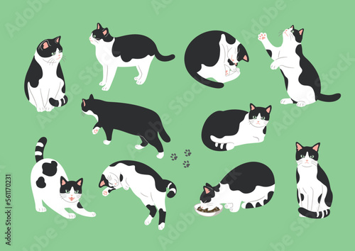白黒猫のいろいろなポーズのイラスト素材