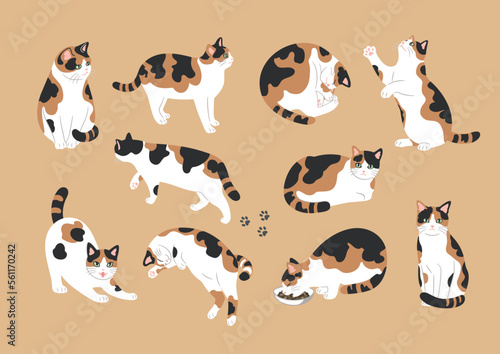 三毛猫のいろいろなポーズのイラスト素材