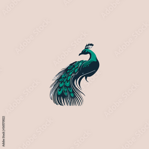 blue elegant peacock icon in isolated background