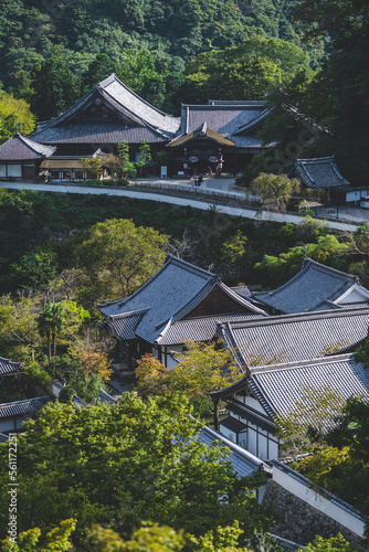 日本の伝統的な建物と木々