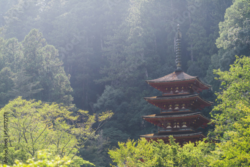 日本の伝統的な建物と木々