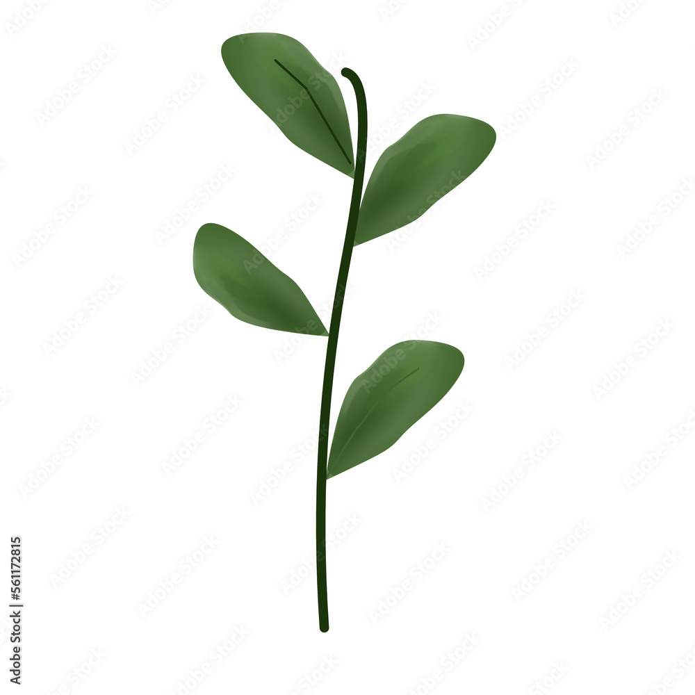 Fototapeta premium leaf .leaf painting. leaf watercolor.