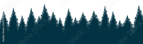 black dense fir forest isolated on white © Paolo