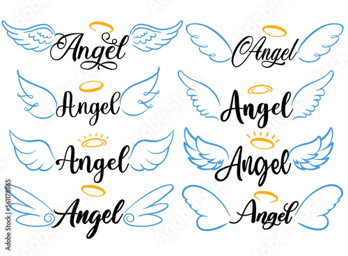 Angel wing set vector