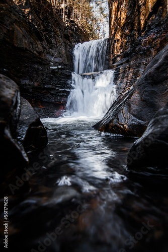 waterfall in the forest