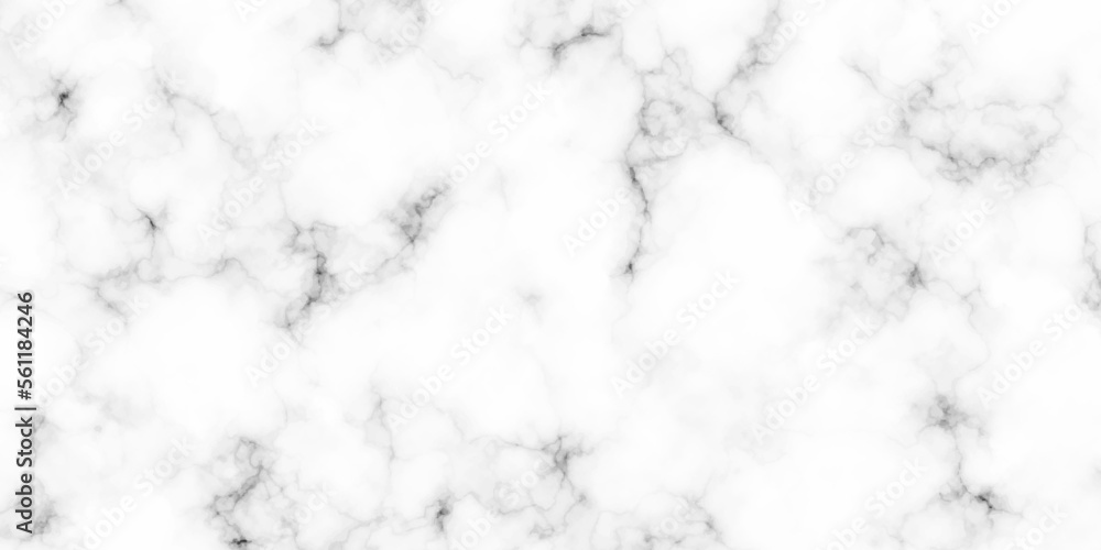 White Carrara work or design marble stone texture.. Natural white marble stone texture. Stone ceramic art wall interiors backdrop design. High-resolution white Carrara marble stone texture.
White Carrara work or design marble stone texture.. Natural white marble stone texture. Stone ceramic art wall interiors backdrop design. High-resolution white Carrara marble stone texture.