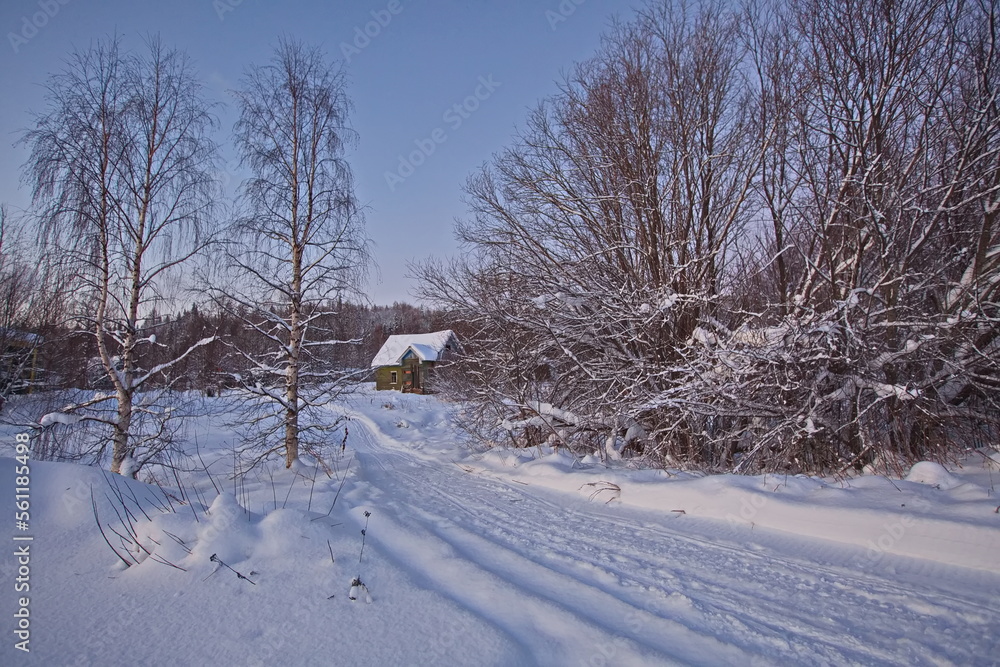 Naklejka premium Early morning in the vicinity of the camp site on the banks of the river Pinega.