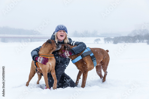 Laughing woman cuddling with boxer dogs on a walk in the snow. Favorite pets, love and friendship.