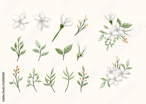 Obraz na plátne jasmine white beauty flower with leaves set for bouquet for wedding love romance