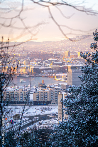 Canvas Print winter in the city