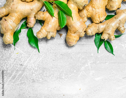 Fresh ginger with leaves.