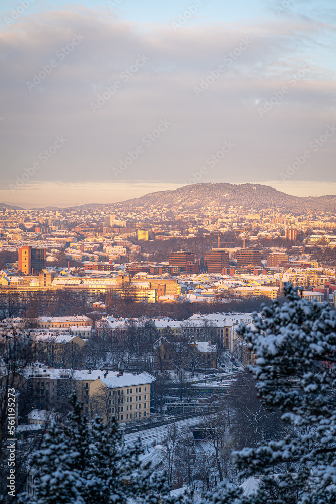 view of the city oslo view of the city oslo