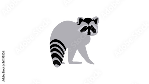 Raccoon silhouette